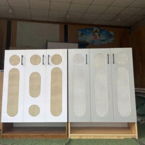 Tủ Giày Hiện Đại MS001